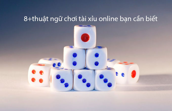 thuật ngữ chơi tài xỉu online