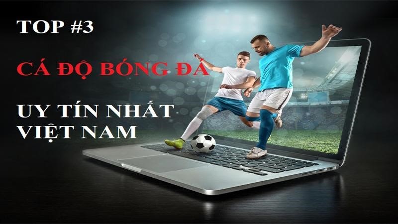 trang cá độ bóng đá uy tín nhất việt nam 