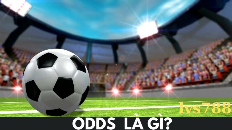 Odds là gì? Cách tính và so sánh các loại odds phổ biến