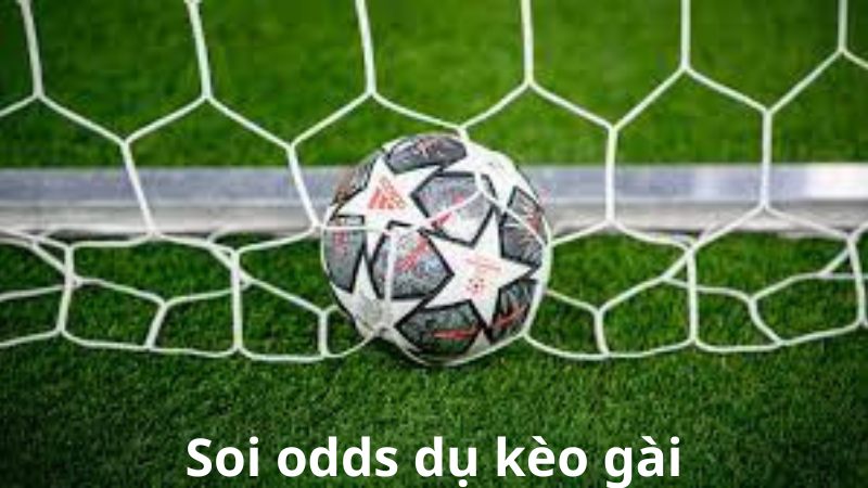 Phương pháp soi odds dụ kèo gài 