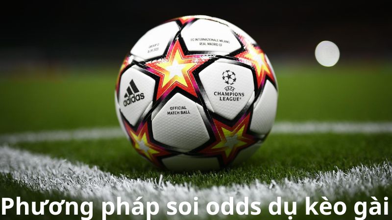 Phương pháp soi odds dụ kèo gài hiệu quả nhất