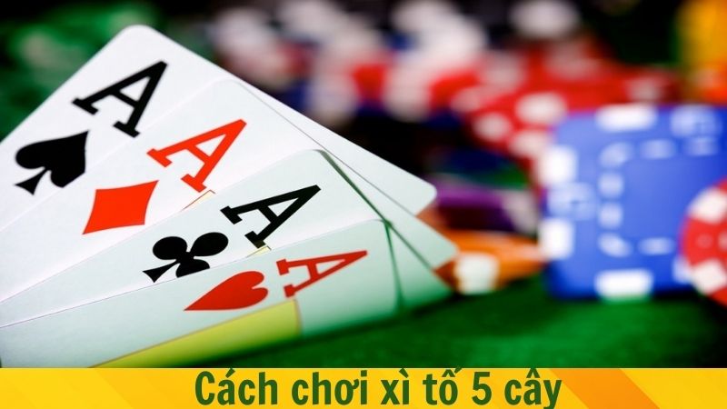 Cách chơi xì tố 5 cây chuẩn xác và hiệu quả