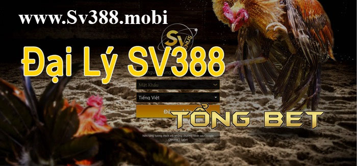 Cách để chơi đá gà trên sv388 mới nhất