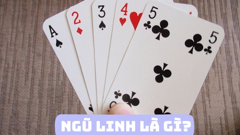 Ngũ linh là gì?